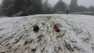 Sledging in Kings Park Retford