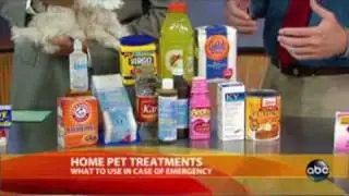 Dr. Marty Becker talks about household items to treat your pet