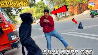 Funny gorilla prank video 😂😅🤣 #cutegirlpranks #gorillaprank #gorilla#gorillaprank #prankgorilla￼￼