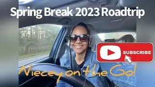 DMV to Florida | Spring Break #ROADTRIP - Episode3-South of the Border
