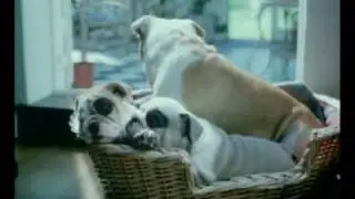 Butchers Dog Food Puppies TV Ad