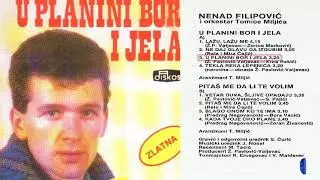 Nenad Filipovic - U planini bor i jela - (Audio 1988)