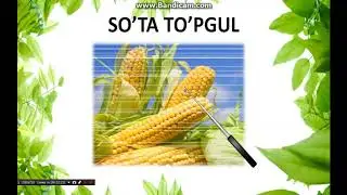 Botanika fani To'pgullar