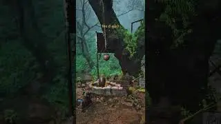 Rare Ancient Shiva Linga in Deep Forest 🌿 | No Temple, Only Maha Pooja 🔱#ForestShiva
