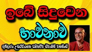 ඉබේ සිදුවෙන භාවනාව | Most Ven.Udairiyagama Dammajeewa Thero