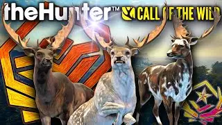 MONSTERS of the Great One Fallow Deer Grind! | Call of the Wild