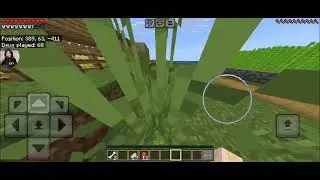 #minecraft survival house tour you can see how many days we played