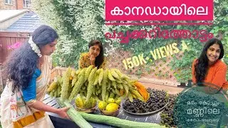 Canadayile Kerala Adukkala  Thottam കാനഡായിലെ കേരളം