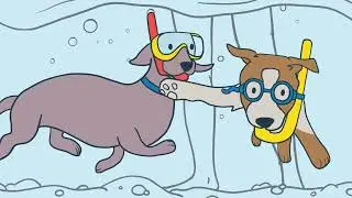 Paulmac's Pet | Animal Care Expert Travel Stories | Water Adventures