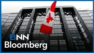Bank of Canada should hold rates right through 2026: Kronick