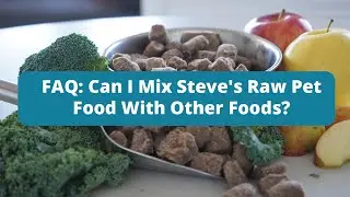 Can I Mix Steve's Raw Pet Food With Other Foods? - Steve's Real Food