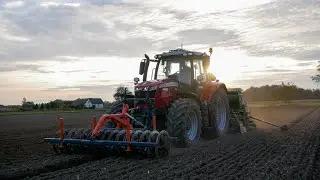 Uprawa bezorkowa & Siewy pszenicy 2025✓Massey Ferguson 8732s dyna VT & 7718s dyna 6✓Amazone✓Mandam