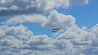 USAF tee birds