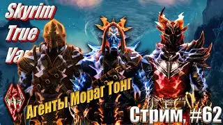 Хроники Паладина - Мораг Тонг на сложности Легенда сборка Skyrim True Vanilla 2.0, #62 стрим
