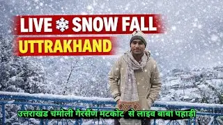 live snow fall  🌨️ ❄️ uttrakhand Chamoli gairsain matkot बाबा पहाड़ी is live