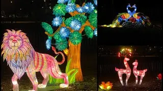 Explore Novi Sad - Chinese New Year Lights💡Novi Sad 2022