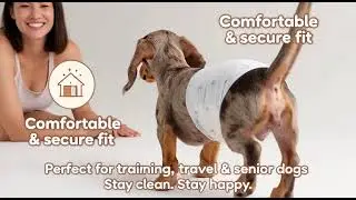 🐾 Top Amazon Pet Essential! 🐾
