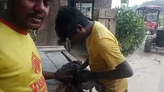 votvoti motor van#changfa diesel engine motor van#1115 model diesel engine#goutam vlogs