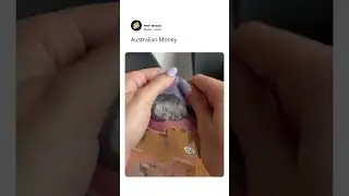 Why Australian Money Is Basically Unbreakable