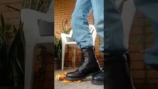 Harley Davidson Faded Glory Black Loggers Boots Trample Stomped Pumpkin 
