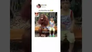 Desi Meme Adda &ndash; Great for Indian audience. #shorts #memes