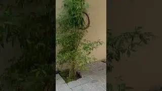 Eid Al Fitr &hearts;️🤲🏻#eid#life#family#vlog#fyp#viral#video#youtube#shorts#uae#dubai