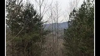 Lots And Land for sale - 29 Loftis Mtn, Blairsville, GA 30512
