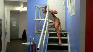 Humanimal - www.circusperformers.com