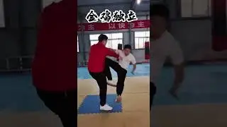 Tai chi chuan | Low energy Takedowns |  | taichi application | Chen Style Taiji Quan | 陈式 太极拳