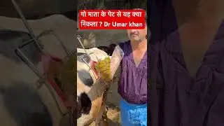 Rumenotomy l dr Umar khan