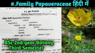 Family Papaveraceae in hindi || BSc 2nd year Botany Third Semester