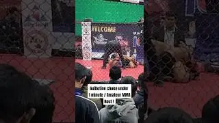 ICL Season 8 dehradun , Opening bout 1 minute guillotine finish!