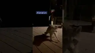 Alienation Version
