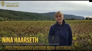 Innlandsbonden video nr 7: Mandelpotetprodusent Nina Haarseth minner om hvor allsidig poteten er!