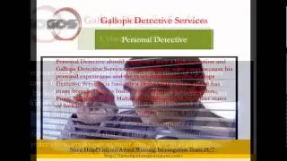 Post Matrimonial Detective