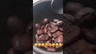 💥🫘Crushing coffee Beans|Satisfying #shorts #youtubeshorts #shortvideo #asmr #satisfying #trending