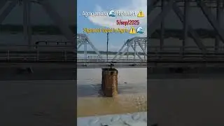 flood in Agra ⚠️🌊#viral #2025 #alert #water #yamuna #news #update