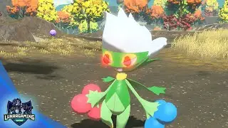 Alpha Roserade Location Pokemon Legends Arceus