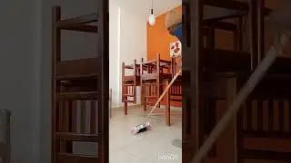 Speed Cleaning the Living room | Quiet Order