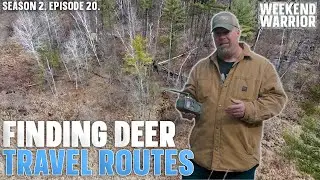 How to Locate Deer Travel Routes