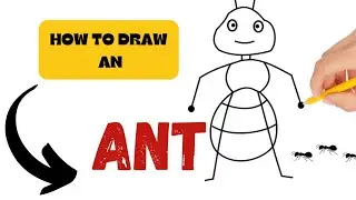 Step by Step Instructions on How to Draw an Ant / How to Draw an Ant