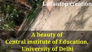 #CIEDU A beauty of entral institute of Education (CIE/DOE), University of Delhi💖