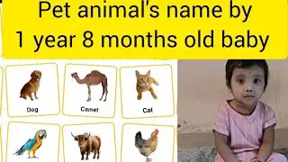 Domestic Animals name by 1year8 months old baby, World record holder#viral #foryou #education #learn