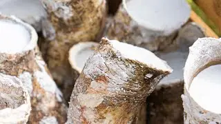 501 horn silica biodynamic preparation