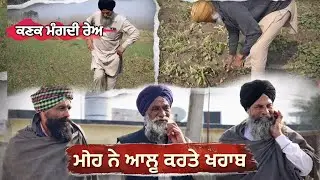 ਮੀਹ ਨੇ ਆਲੂ ਕਰਤੇ ਖਰਾਬ , ਕਣਕ 🌾 ਦੇ ਹਲਾਤ ਠੀਕ । ਕਣਕ ਮਗਦੀ ਰੇਅ 