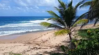 Exploring Barbados by Rental Car: Grand Princess Southern Caribbean Cruise 