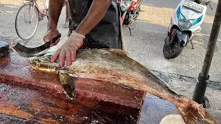 Fresh Cobia  Cutting | Cobia  Fish Breaking down into cubes