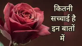 True lines for life | hindi motivational quotes| motivational thoughts @Prerna