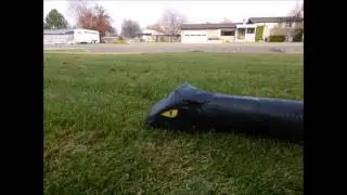 The Perils of Texting and Walking: SNAKE ATTACK (Completed)