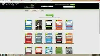 Using The Aha Amplifier (AhaAmplifier.com)